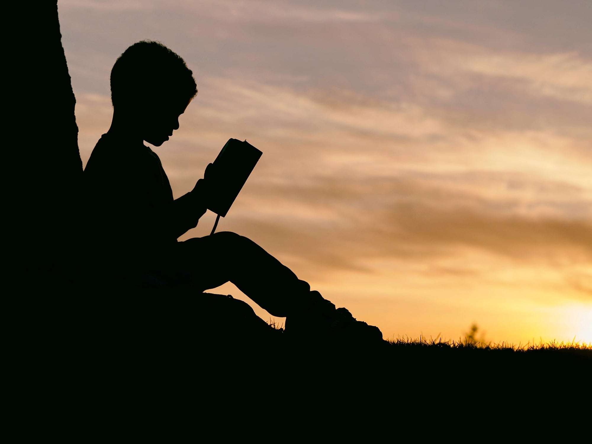 enfant lisant assis dans l'herbe de profil à contre-jour durant un coucher de soleil