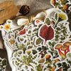Stickers Plantes Forestières
