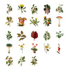 Stickers Plantes Forestières