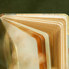 Carnet Souvenirs du Passé
