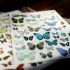 Stickers Pérégrinations Colorées